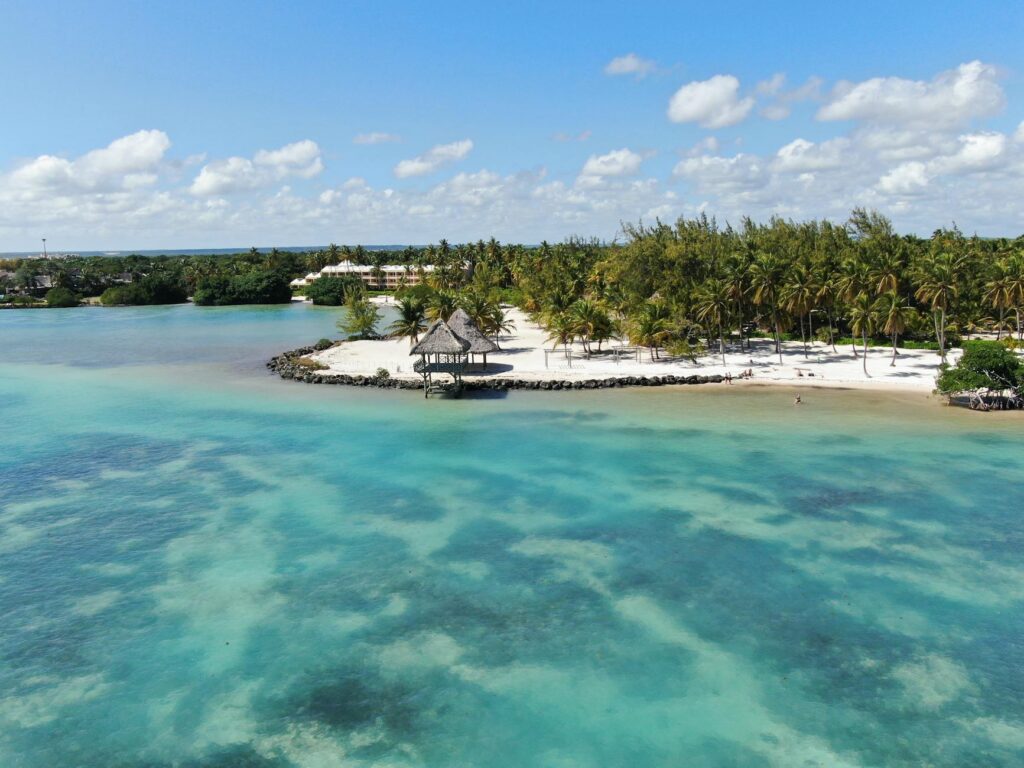 Aerial view of a tropical beach with turquoise waters, white sand, and palm trees.